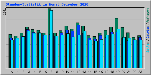 Stunden-Statistik im Monat Dezember 2020