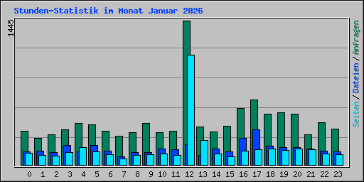 Stunden-Statistik im Monat Januar 2026