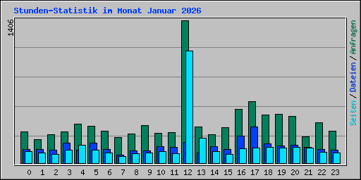 Stunden-Statistik im Monat Januar 2026