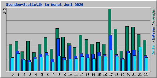 Stunden-Statistik im Monat Juni 2026